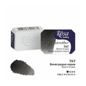 ROSA Gallery Watercolour Full Pan - Black Grape 2.5ml